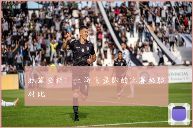 独家分析：上海飞盘队的比赛经验对比