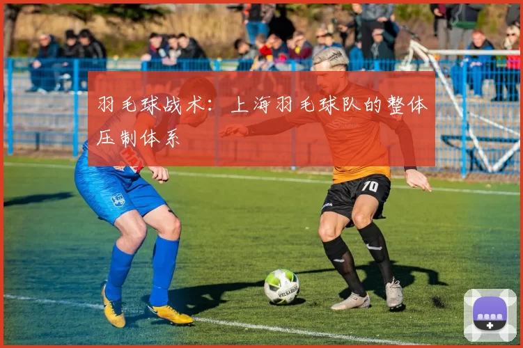 羽毛球战术：上海羽毛球队的整体压制体系