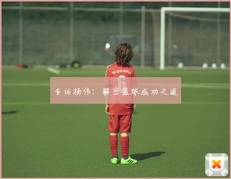 专访杨伟：解密篮球成功之道